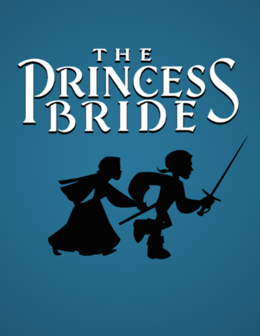 Image de The Princess Bride : The Official Game