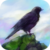 Image de Gathering Sky