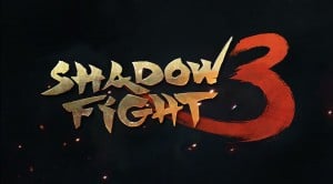 Shadow Fight 3
