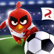 Image de Angry Birds Goal!