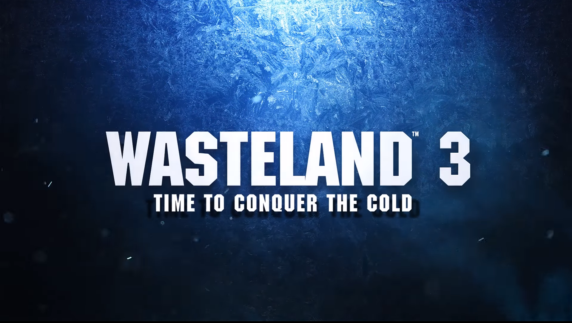 Image de Wasteland 3