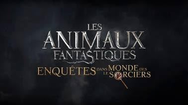 Image de Les Animaux Fantastiques : Enquêtes Dans Le Monde Des Sorciers