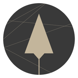 Jaquette de 99 Rockets