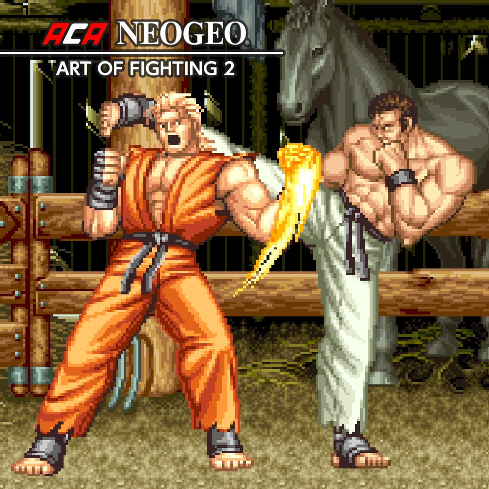 Image de ACA NEOGEO Art of Fighting 2
