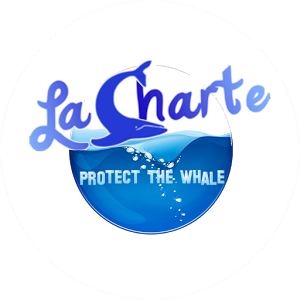 Image de La Charte : Protect the Whale