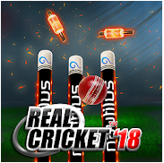 Image de Real Cricket™ 18
