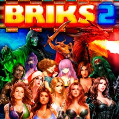 Image de BRIKS 2