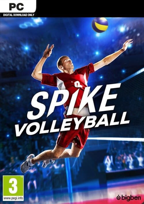 Image de Spike Volleyball