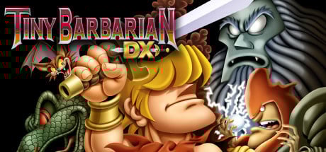 Image de Tiny Barbarian DX