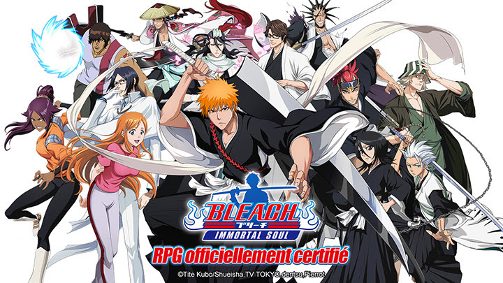 Image de Bleach : Immortal Soul