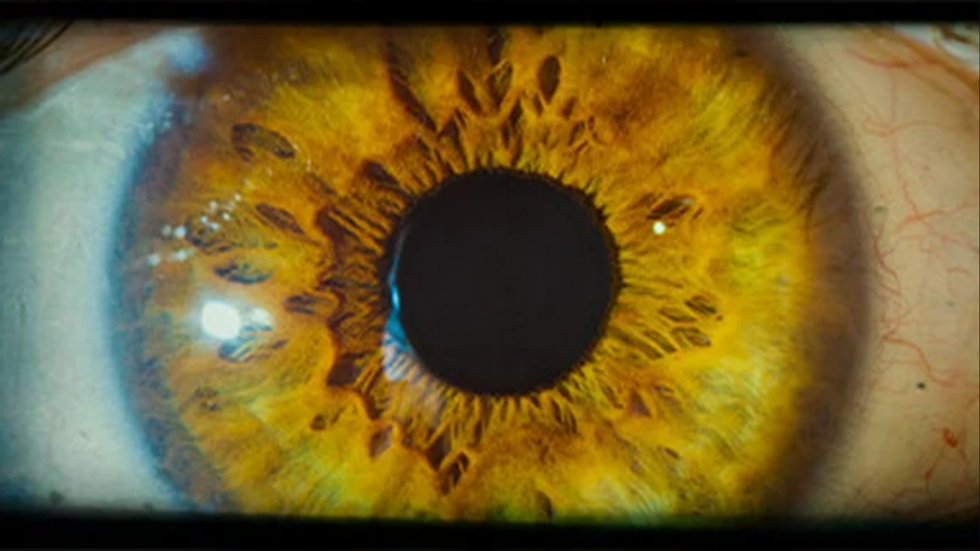 Image de Project Ambrosio