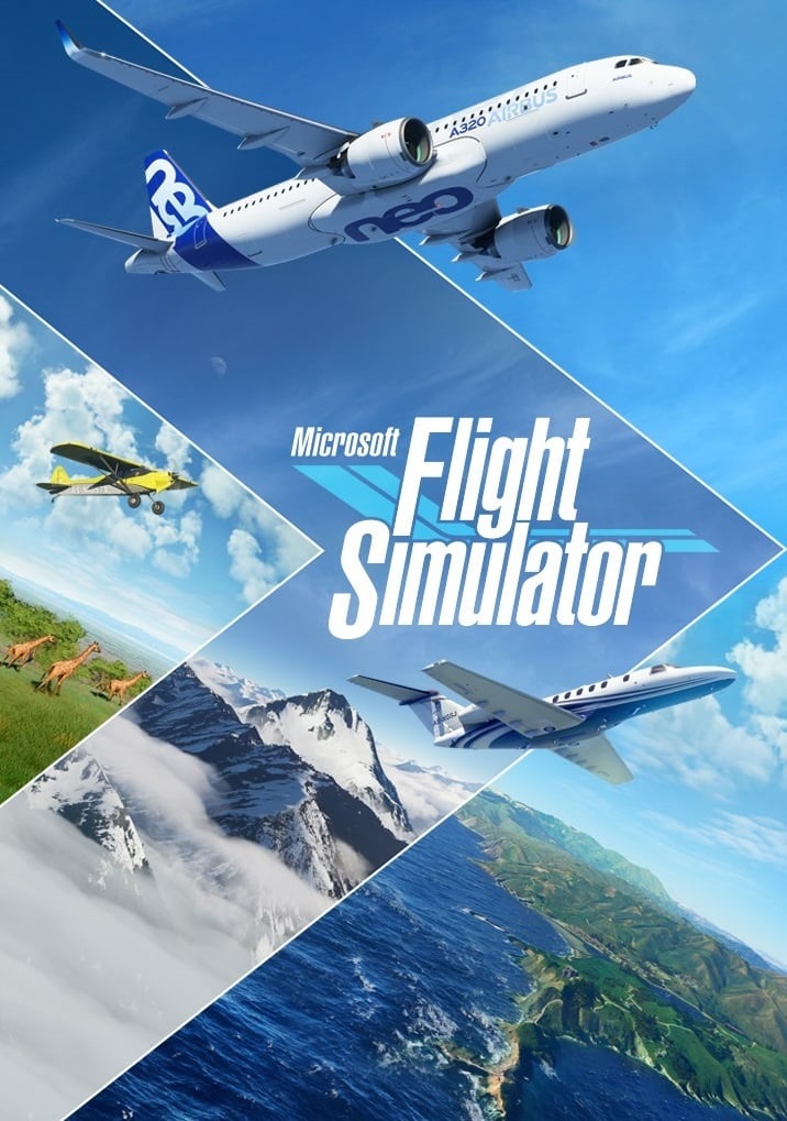 Image de Microsoft Flight Simulator