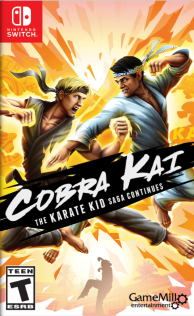 Image de Cobra Kai : The Karate Kid Continues