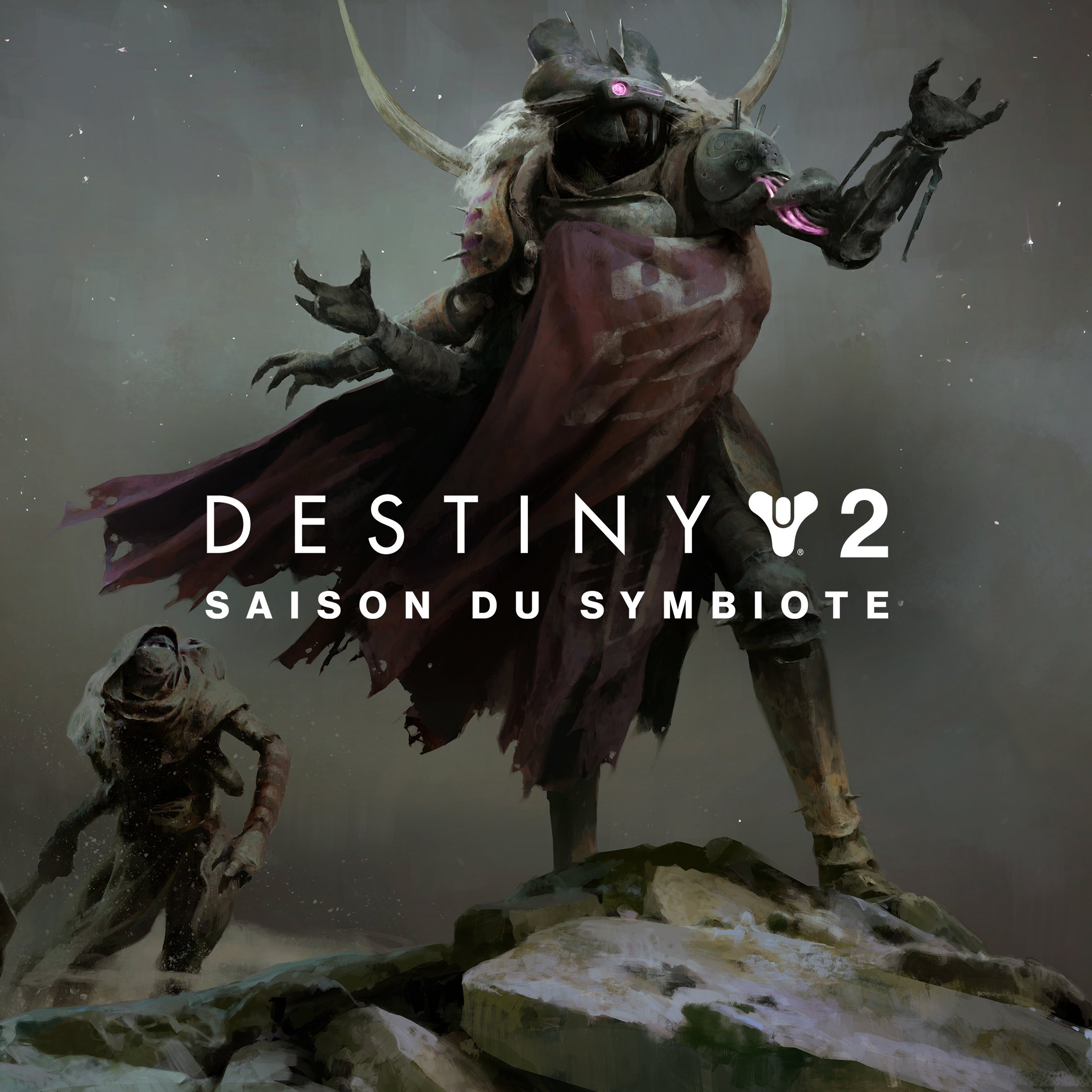 Image de Destiny 2 : La Saison du Symbiote