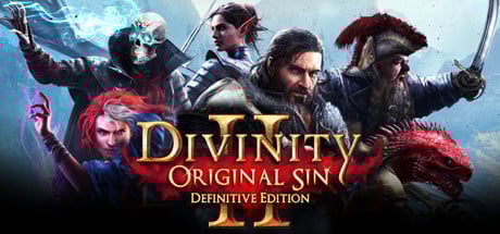 Divinity : Original Sin II - Definitive Edition