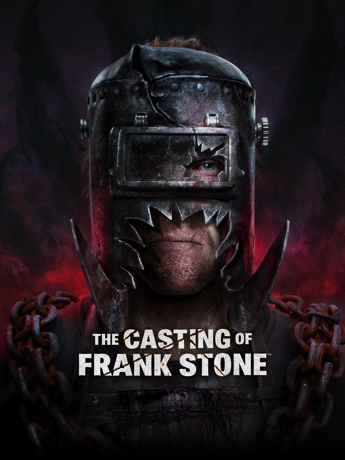 Jaquette de The Casting of Frank Stone