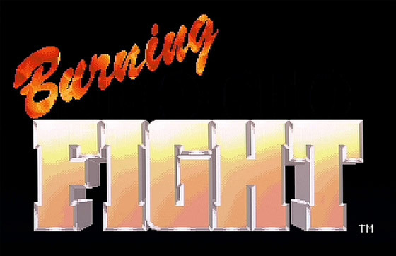 Image de Burning Fight