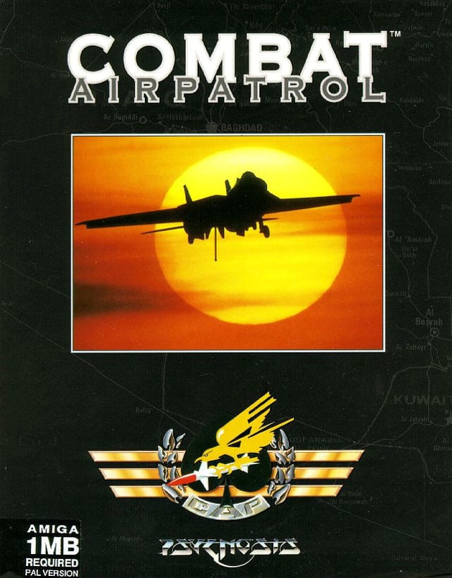 Image de Combat Air Patrol