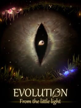 Image de Evolution: From the Little Light