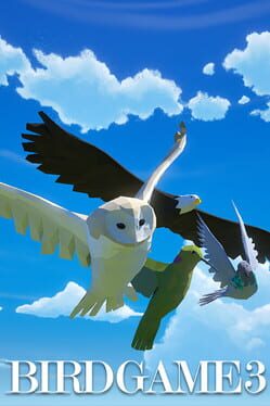 Image de Bird Game 3