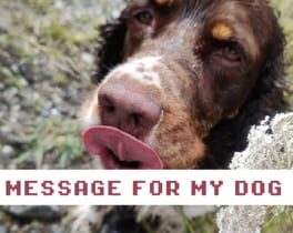 Image de Message for My Dog