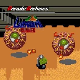 Image de Arcade Archives: Labyrinth Runner
