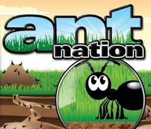 Image de Ant Nation