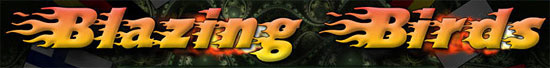 Image de Blazing Birds