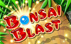 Image de Bonsai Blast