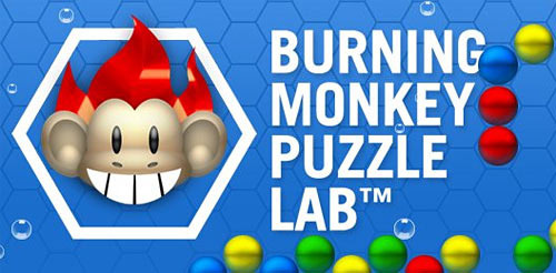 Burning Monkey Puzzle Lab