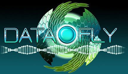 Image de Data-Fly