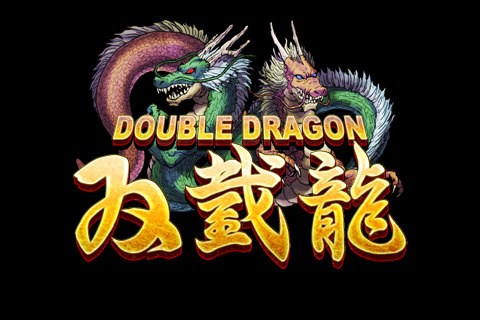 Image de Double Dragon