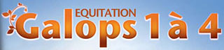 Equitation : Galops 1 à 4