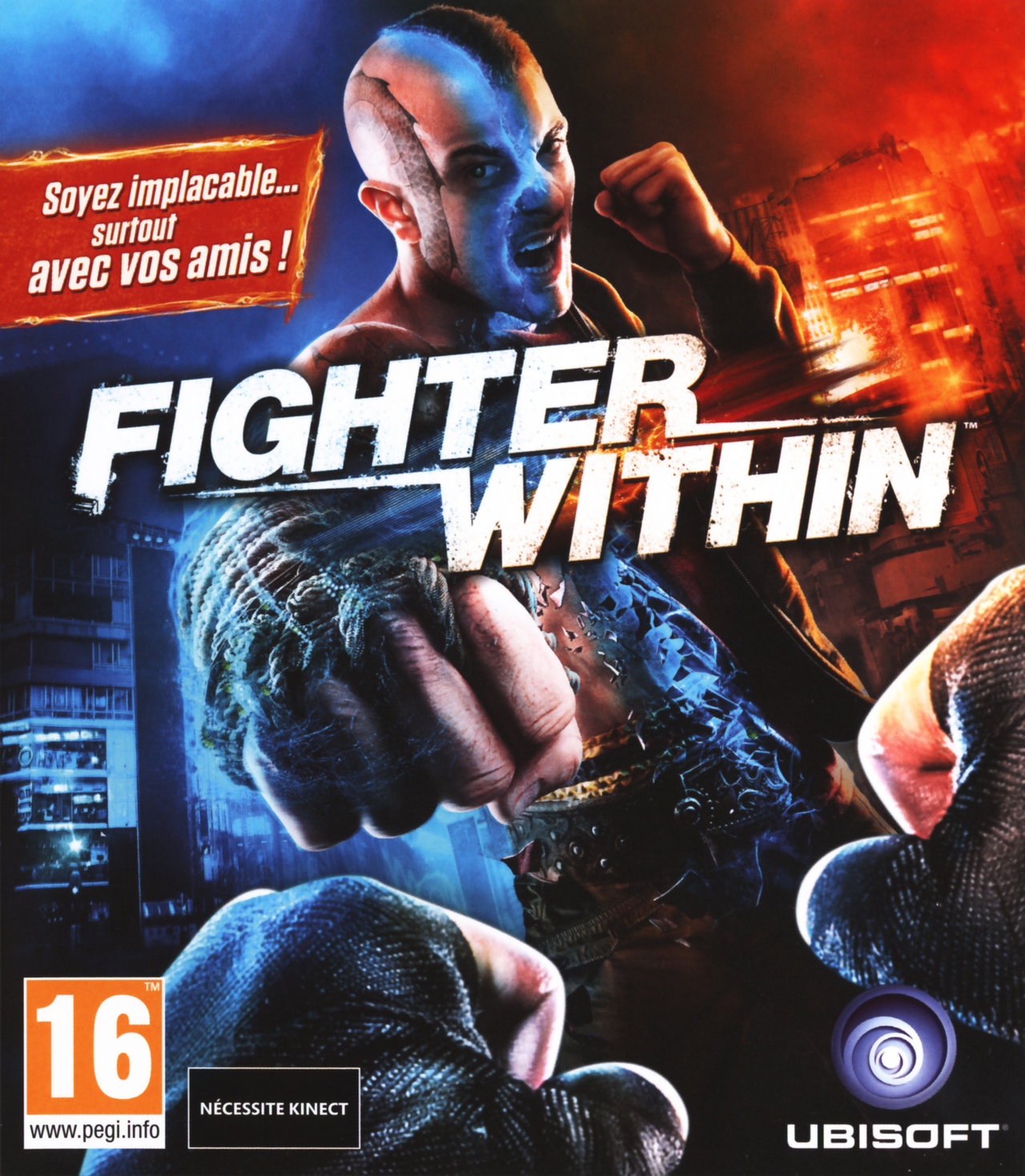 Image de Fighter Within