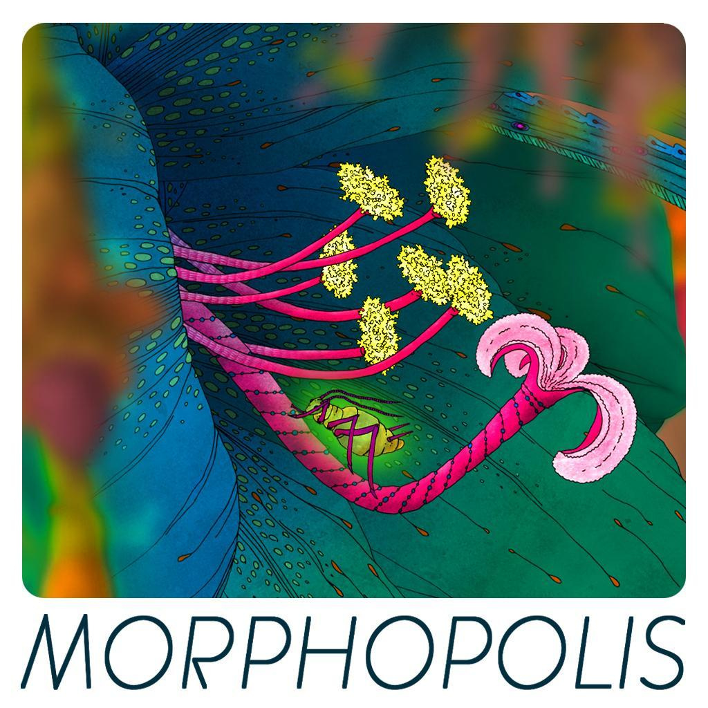 Jaquette de Morphopolis