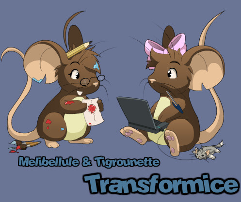 Image de Transformice