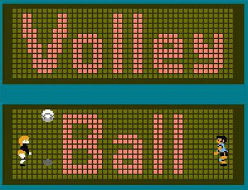 Jaquette de Volleyball