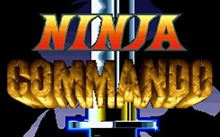 Image de Ninja Commando