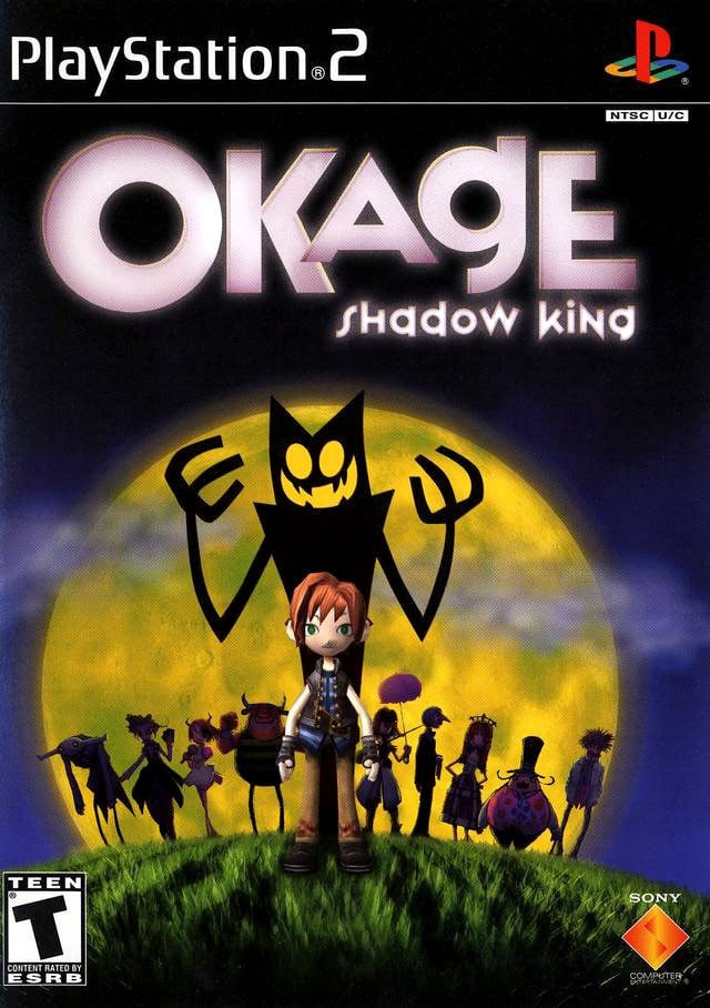Jaquette de Okage : Shadow King