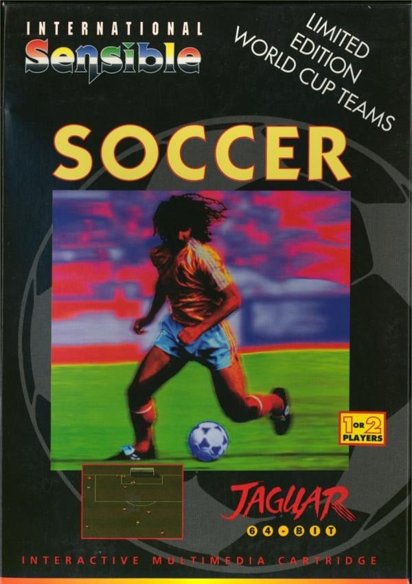 Image de Sensible Soccer : European Champions