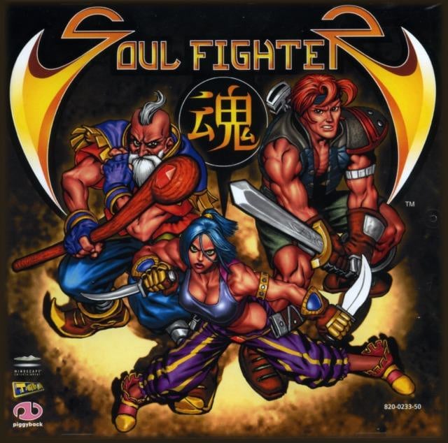Image de Soul Fighter